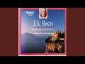 Fantasia & Fugue in G Minor, BWV 542