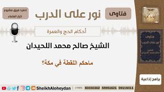 ماحكم اللقطة في مكة؟ الشيخ اللحيدان - مشروع كبار العلماء image