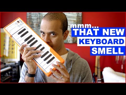 Arturia MICROLAB - Before you buy it, consider this...