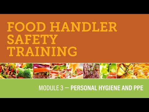Module 3 — Personal Hygiene and PPE