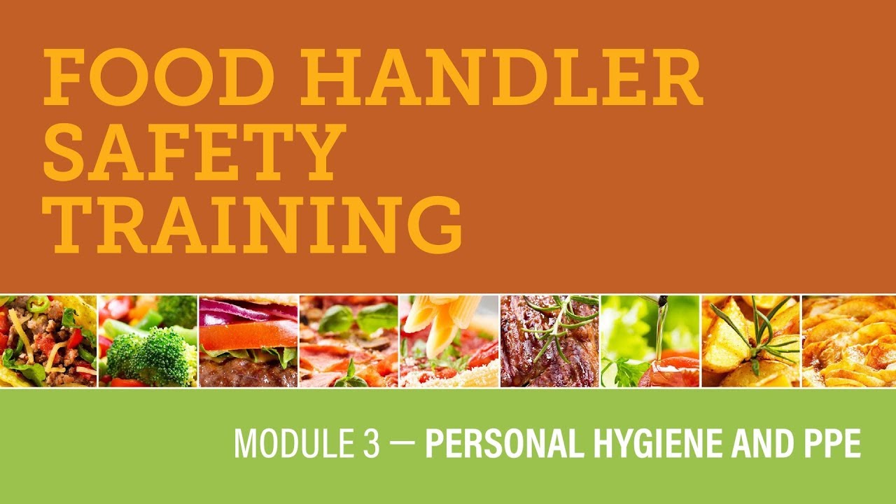 Module 3 — Personal Hygiene and PPE