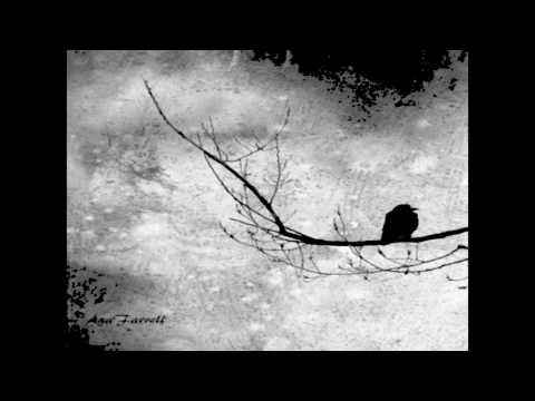 Alejandro mnml - Lost (Original Mix)