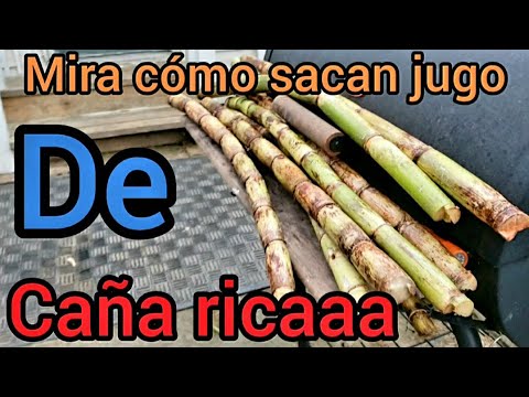 Jugo de caña