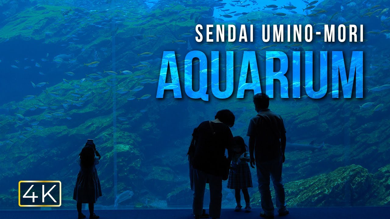 Discover the captivating highlights of Sendai Umino-Mori Aquarium.