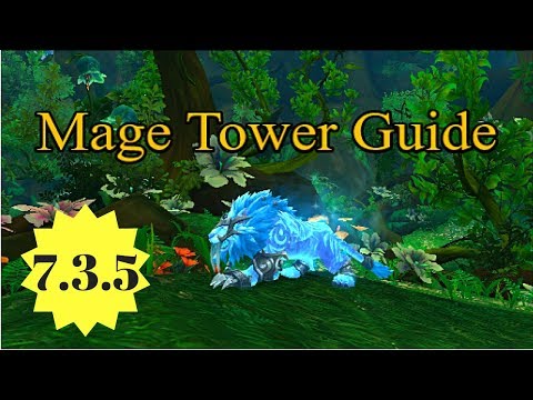 Feral Druid Mage Tower: Guide and Commentary