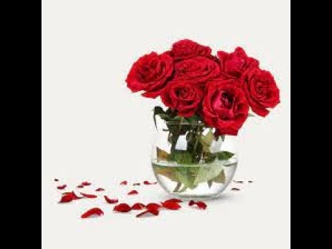 CHIKUZEE FT HAPPY C- LUCY