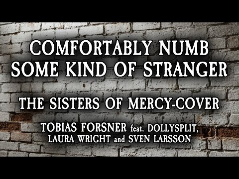 Comfortably Numb / Some Kind of Stranger (The Sisters of Mercy-cover) feat. @DollysplitBand