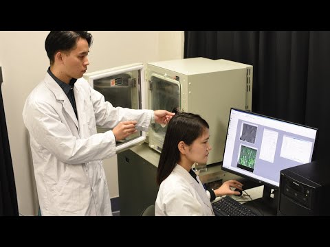 情報工学科 応用バイオ科学部 応用バイオ科学科 紹介（系統別ガイダンス：化学・バイオ系）ver1.1 2020.07.01 【#神奈川工科大学】