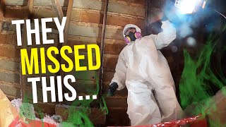 Rodent URINE smell in the ENTIRE attic...(5 exterminators couldn