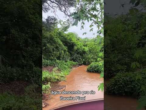 Riacho do escorrega , itaueira Piauí #interior #águaévida #riacho #piauí #interor