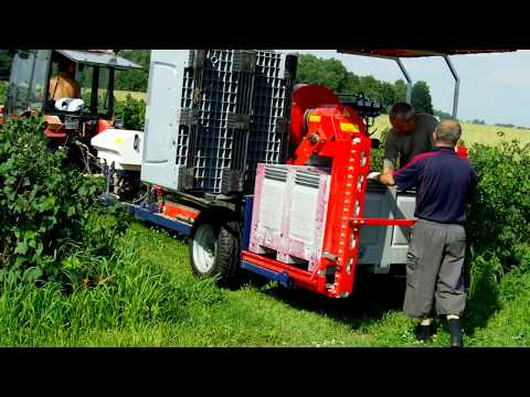 Mechanical Harvesting - JAREK 3