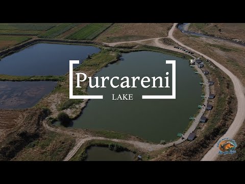 Purcareni Lake - Drone View