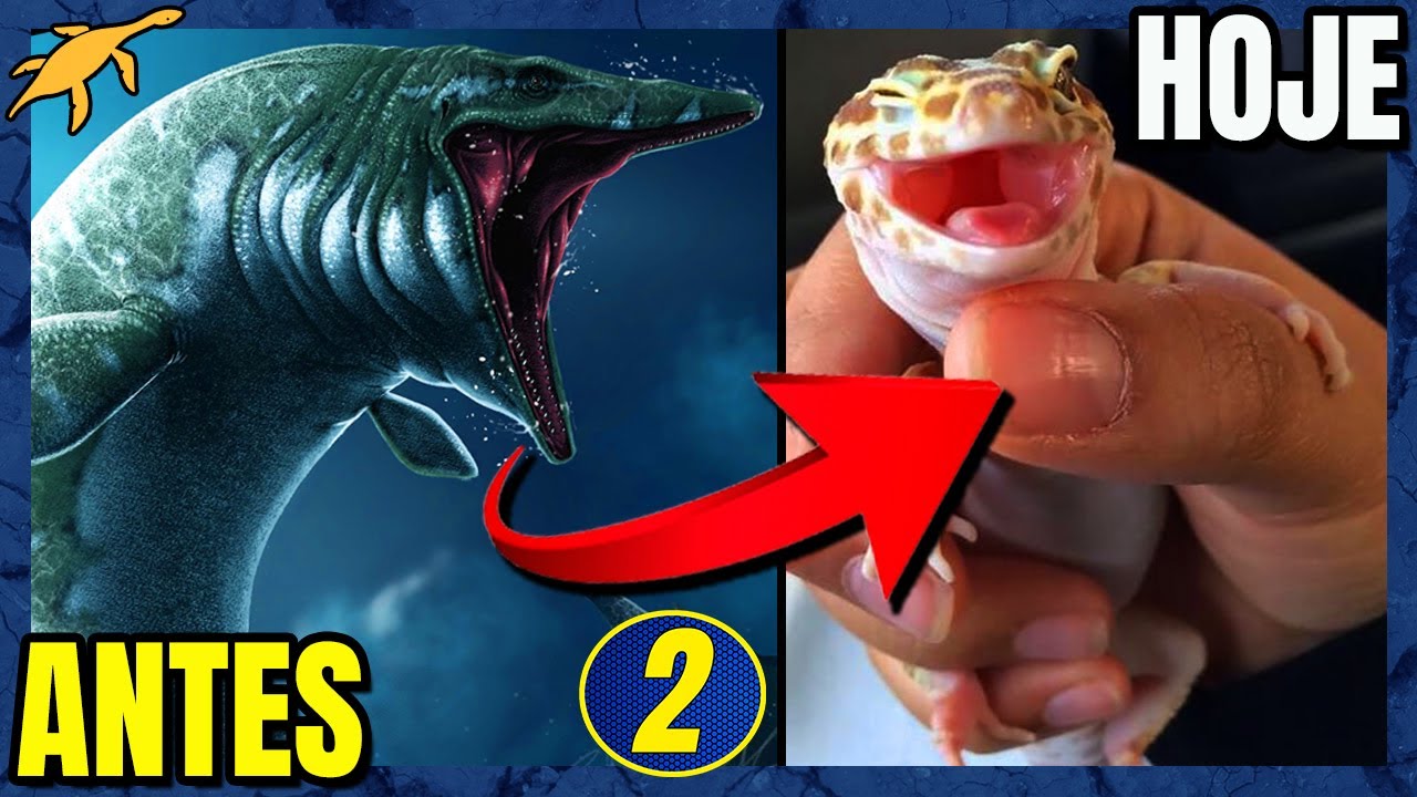 ORIGEM e EVOLUÇÃO dos LAGARTOS