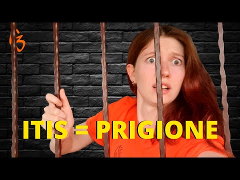 Everything you need to know about technical institutes || ITIS & Stereotypes