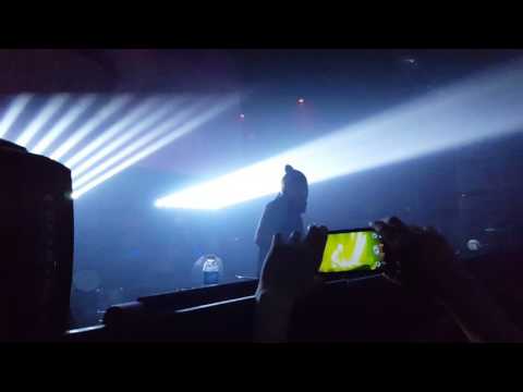 Art Department 6 / Funky green dogs - fired up