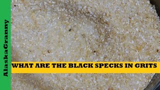 What Are Black Specks in Grits How To Store Grits Long Term Food Storage