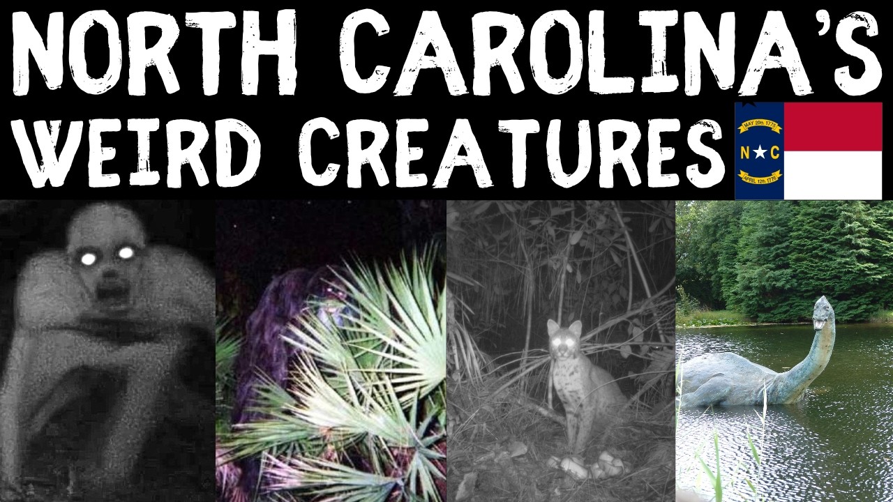 Exploring North Carolina's Weird Creatures: Myths and Legends of the United States