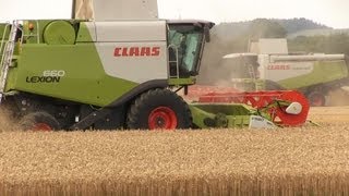 preview picture of video '3x Claas Lexion 660, 580 und 560 Mähdrescher mit Hawe Überladewagen bei Getreideernte'