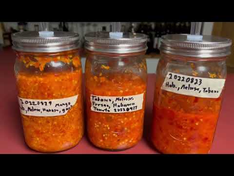 Fermented Hot Sauce Via the Pepper Mash Method (Part 1): Preparation & Kickoff