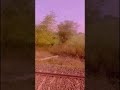 Humne Ghar Chhoda Hai Status