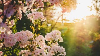 Daylight Savings Time Begins / Beautiful Instrumental Piano Music / Relaxing Music