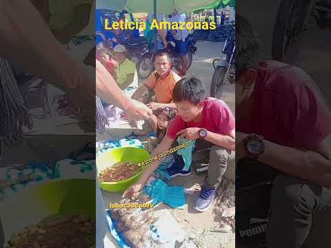Ven y Conozca Leticia Amazonas toda su Cultura Gastronomía Naturaleza mejor venga