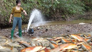 The girl into the woods, catch many fish in a puddle in a dry stream | Amazing fishing