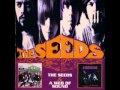 COO COO  Sky Saxon & The Seeds