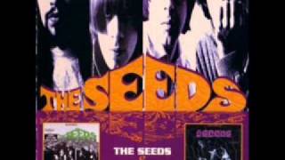 COO COO  Sky Saxon & The Seeds