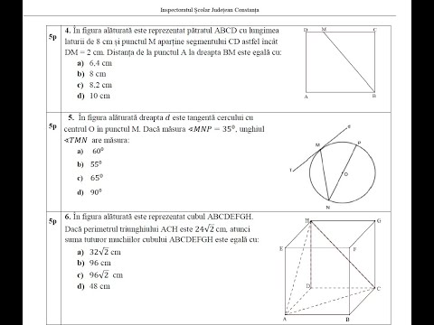 Simulare examen de EN matematică ISJ Constanţa - decembrie 2024 - Subiectele I şi II