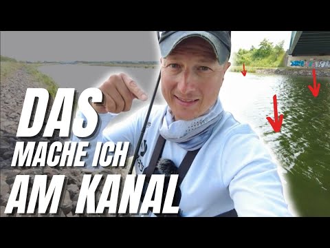 Zander fishing on the canal. Tips, tricks, and real challenges
