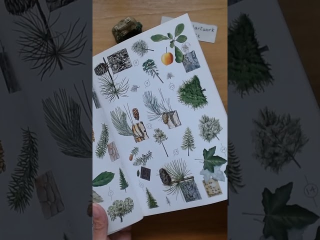 Vídeo relacionado con En una obra (Mi pequeño libro de pegatinas)