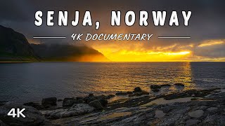 Download lagu Senja Island, Norway - 4K Unspoiled Beauty mp3