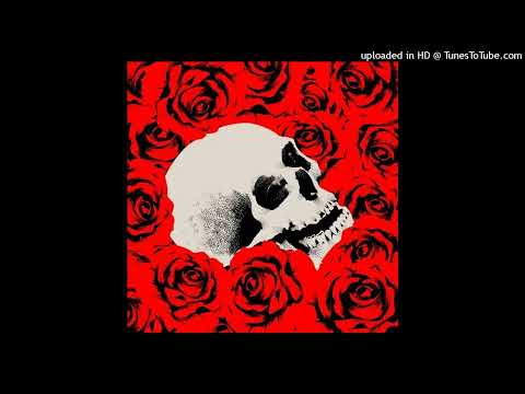 [FREE] *HARD DNB* NASCAR ALOE x PROBLEMCHILD TYPE BEAT - "roses" (prod. plucksunset)