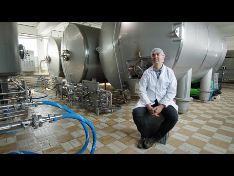 Die Produkte der Upländer Bauernmolkerei