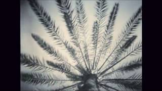 Fred Neil - I've Got A Secret (Didn't We Shake Sugaree)