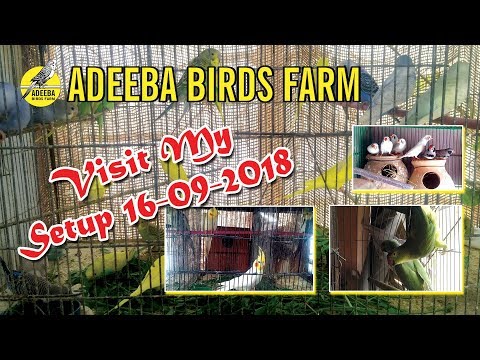 Adeeba birds farm & pets