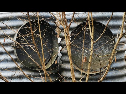 SOPTIPPEN vid SÅGVERKET #3 - 210416 - Ronneby - BLEKINGE - Huawei p30 PRO