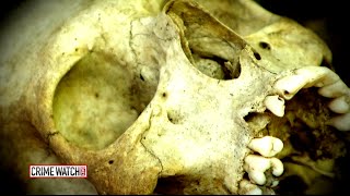 Cold Case Heats Up When Suspected Serial Killer Tells Cops About Bodies - Crime Watch Daily