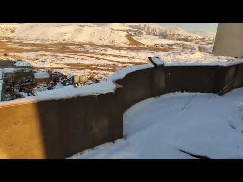 Snow -slemani