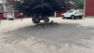 جرار بعجلات Massey Ferguson Veterantraktor Massey Ferguson | صورة 4 - Agroline