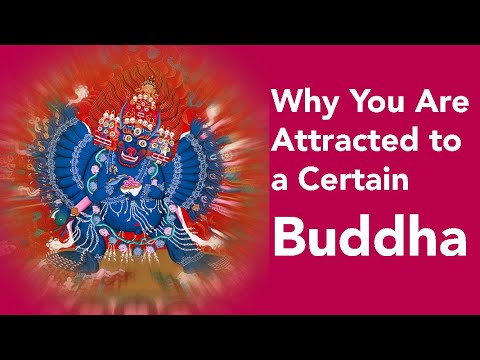 Why You Are Attracted to a Certain Buddha (with subtitles)