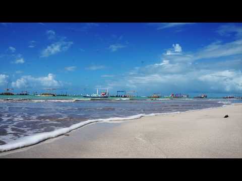 Prabhuji Daya Karo (Pt. Ravi Shankar & George Harrison) - Arr. by Seven Eyes