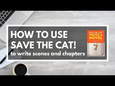 How to Use the Save the Cat! Beat Sheet to Write Scenes and Chapters