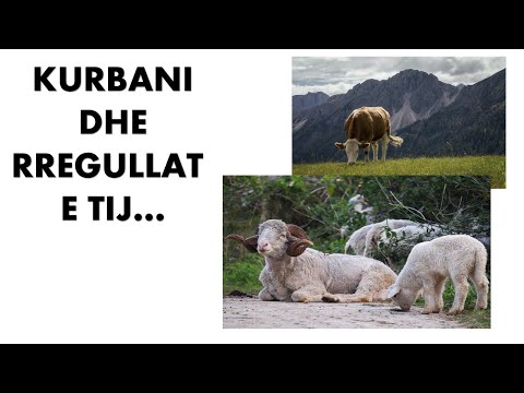 Kurbani dhe rregullat e tij