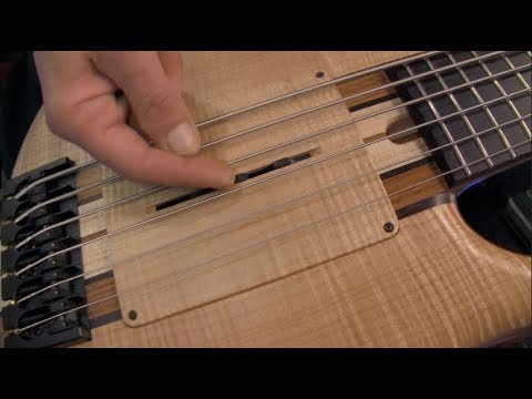 David Dyson and Gerald Veaseley at Mana Basso Basses NAMM 2017 | MikesGigTV