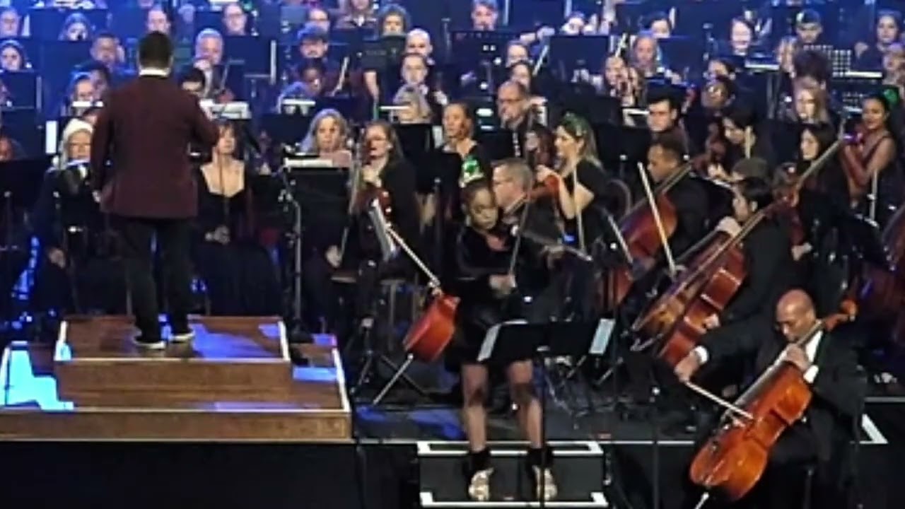 Promotional video thumbnail 1 for Violinist, Camille V