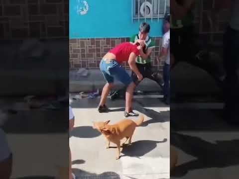 Riña quedó registrada en video durante el cierre de las ferias y fiestas en Salazar de Las Palmas