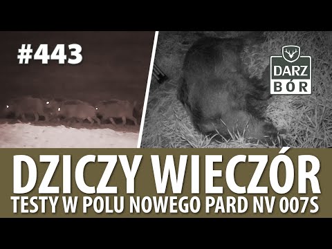 Darz Bór odc. 443 Dziczy wieczór. Testy w polu nowego PARD NV007S