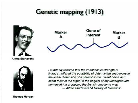 Keynote: Genomic Variation and the Inherited Basis of Common Disease - David Altshuler - ISMB 2010